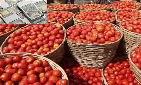 கிலோ ரூ.100-ஐ தாண்டியதால் விபரீதம்- தக்காளி வியாபாரியை 250 கி.மீ. விரட்டி சென்று ரூ.5 லட்சம் வழிப்பறி