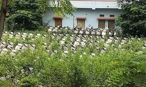 ஏழை மாணவிகளுக்காக வாங்கிய 1,500 ஸ்கூட்டர்கள்: வெயிலில் நின்று வீணாகும் அவலம்