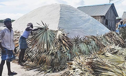 வேதாரண்யம் அடுத்த அகஸ்தியன்பள்ளியில் உப்பை பனைமட்டை கொண்டு மூடிவைக்கும் தொழிலாளர்கள்.
