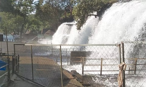 திற்பரப்பு அருவியில் தண்ணீர் ஆர்ப்பரித்து கொட்டுவதை காணலாம்.