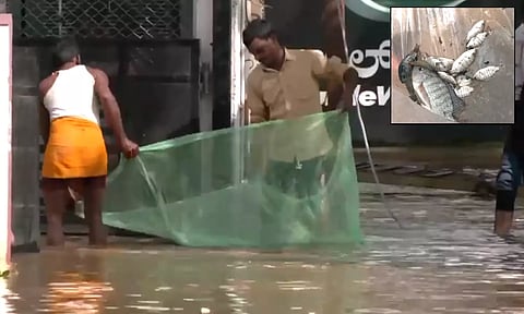 எல்லை மீறி போறாங்களே.. மழைநீரில் வலைவிரித்து மீன்பிடித்துச் சென்ற மக்கள் - வீடியோ