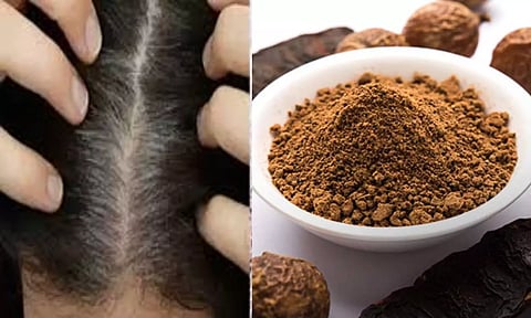 இனி வீட்டிலேயே தயாரிக்கலாம் இளநரையை போக்கும் ஷாம்பூ