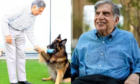 என்ன மனுஷன் யா!.. சமையல்காரர் முதல் வளர்ப்பு நாய் வரை சொத்தில் பங்கு - ரத்தன் டாடா உயில்