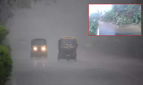 குன்னூர் தாலுகாவில் பள்ளி, கல்லூரிகளுக்கு விடுமுறை அறிவிப்பு