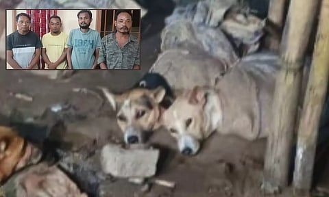 அசாமில் இறைச்சிக்காக அடைத்து வைக்கப்பட்டிருந்த 19 நாய்களை மீட்ட போலீசார் - 4 பேர் கைது