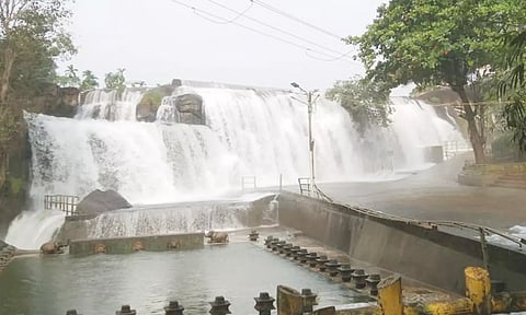 குமரியில் சாரல் மழை- திற்பரப்பு அருவியில் குளிக்க தடை நீடிப்பு