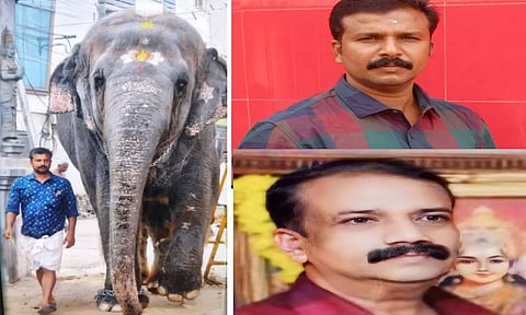 நீண்ட நேரம் 'செல்பி' எடுத்த உறவினரால் பாகனும் பலியான பரிதாபம்