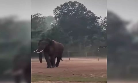 கூடலூர் அருகே அரசு பள்ளிக்குள் நுழைந்த ஒற்றை காட்டு யானை