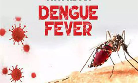 ஈரோட்டில் கடந்த 20 நாட்களில் 4 பேருக்கு டெங்கு காய்ச்சல்