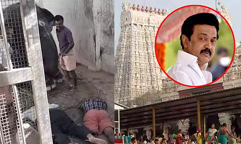 திருச்செந்தூரில் கோவில் யானை மிதித்து இருவர் உயிரிழப்பு - ரூ.2 லட்சம் நிதியுதவி அறிவித்த முதல்வர்