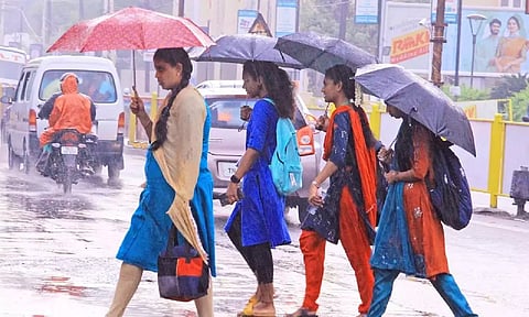 நெல்லை, தென்காசி, தூத்துக்குடி மாவட்டங்களில் விடிய விடிய பெய்த சாரல் மழை