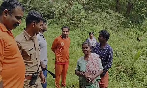 மாடுகளை தேடி சென்று காட்டுக்குள் சிக்கி தவித்த 3 பெண்கள்: வனத்துறையினர் மீட்பு