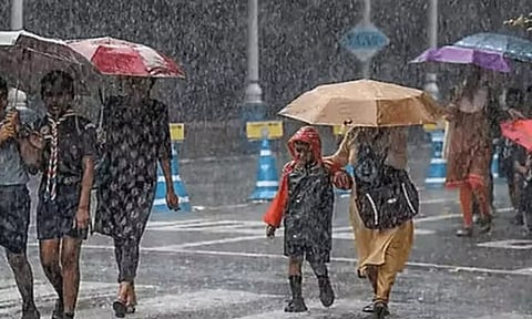 திருவண்ணாமலை, கடலூர் மாவட்டங்களில் நாளை பள்ளி, கல்லூரிகளுக்கு விடுமுறை