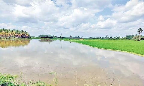 கொல்லிமலையில் கனமழை: வாத்தலை அய்யன் வாய்க்காலில் வெள்ளம்