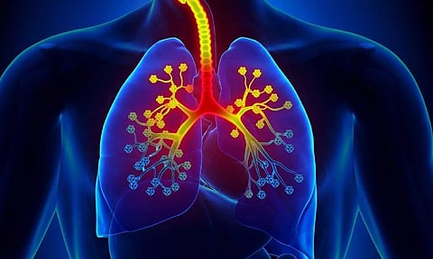 ஆஸ்துமா ஏன் உண்டாகிறது?