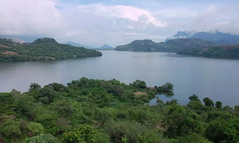 அமராவதி அணையில் இருந்து நீர் திறப்பு