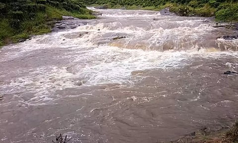 விடிய விடிய வெளுத்து வாங்கிய கனமழை: வால்பாறை ஆறுகளில் வெள்ளப்பெருக்கு