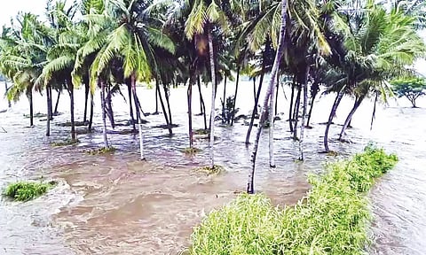 அமராவதி ஆற்றில் கரைபுரண்டு ஓடும் வெள்ளம்- பாலங்கள் மூழ்கியதால் போக்குவரத்து பாதிப்பு