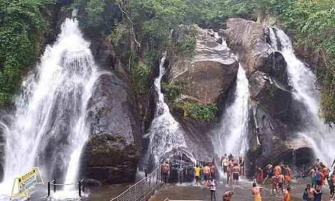 பழைய குற்றாலத்தில் குளிக்க தடை நீட்டிப்பு: ஐந்தருவி, புலி அருவியில் குளிக்க அனுமதி