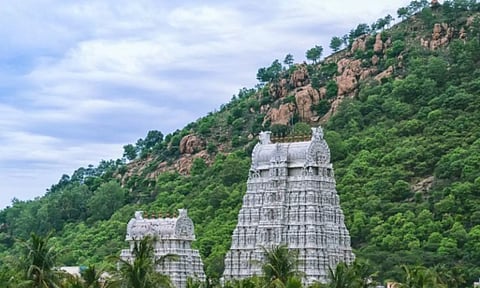 மகா தீப மலையில் தவித்த ஆந்திர பெண்: வனத்துறையினர் மீட்பு