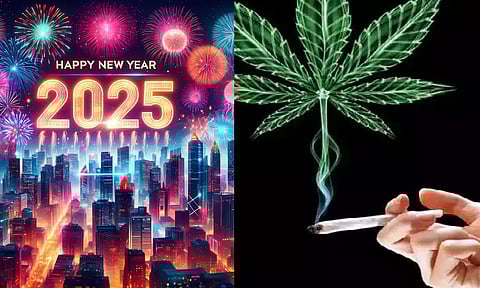 பெங்களூரு புத்தாண்டு பார்ட்டிகளுக்காக கஞ்சா ஓட்டும் வியாபாரிகள்.. நூதனமாக நடக்கும் கடத்தல்