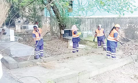 சென்னையில் 203 சுடுகாடுகளில் குப்பைகள்-செடிகள் அகற்றம்