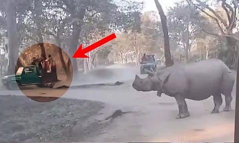 VIDEO: கைக்குழந்தையுடன் ஜீப்பில் இருந்து விழுந்த தாய்.. ஆக்ரோஷத்துடன் சுற்றி வளைத்த காண்டாமிருகங்கள்