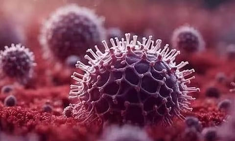 எச்.எம்.பி.வி. தொற்று எவ்வாறு பரவுகிறது?