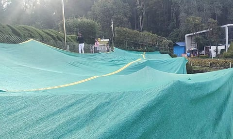 கொடைக்கானலில் தொடரும் உறைபனி: பூங்காவில் மலர் நாற்றுகளை பாதுகாக்க போர்வை