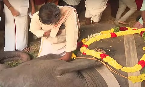 நெல்லையப்பர் கோவில் யானை காந்திமதி உயிரிழப்பு