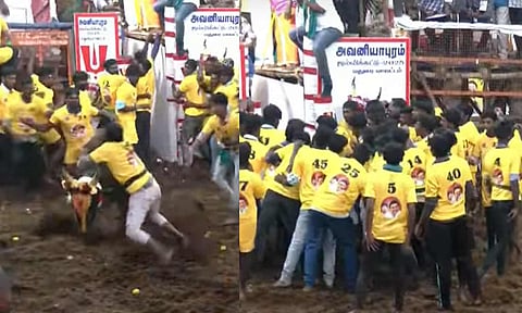 அவனியாபுரம் ஜல்லிக்கட்டு தொடங்கியது: சீறிப்பாயும் காளைகள்... அடக்கும் வீரர்கள்...