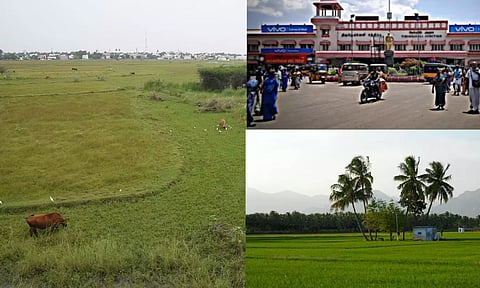 தரமான காற்று கிடைக்கும் நகரங்களில் இந்திய அளவில் நெல்லைக்கு முதலிடம்