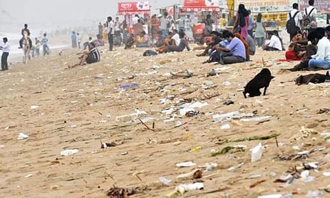 மெரினா கடற்கரையில் குப்பைகளை வீசி செல்பவர்களுக்கு உடனடி அபராதம்- பசுமை தீர்ப்பாயம் அறிவுறுத்தல்