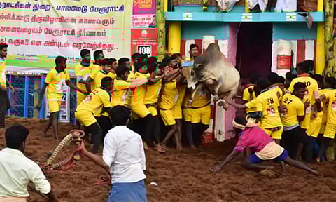 பாலமேடு ஜல்லிக்கட்டு போட்டியில் சாதிய தீண்டாமை- எஸ்.பி. அலுவலகத்தில் புகார்