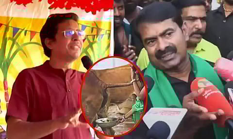 மருத்துவமனைகளில் மாட்டு மூத்திரத்தை குடிக்க கொடுக்கலாம்- சீமான் கிண்டல்