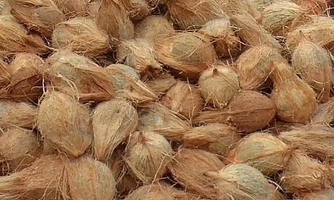 தேங்காய் விலை கடும் உயர்வு - கிலோ ரூ.80-க்கு விற்பனை