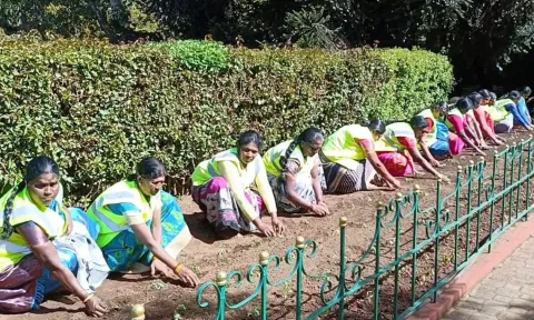 குன்னூர் சிம்ஸ் பூங்காவில் கோடை சீசனுக்காக 5 லட்சம் மலர் நாற்றுகள் நடவு- ஊழியர்கள் மும்முரம்