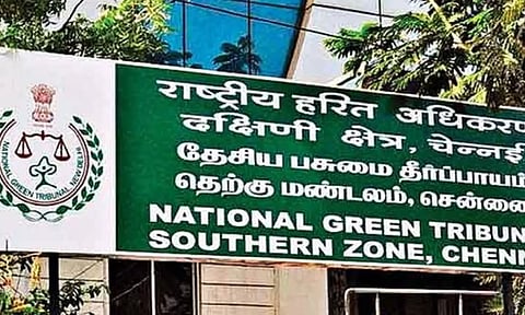 காணும் பொங்கல் அன்று மெரினாவில் குப்பை போடுவது நம் கலாச்சாரம் இல்லை- பசுமை தீர்ப்பாயம் கருத்து