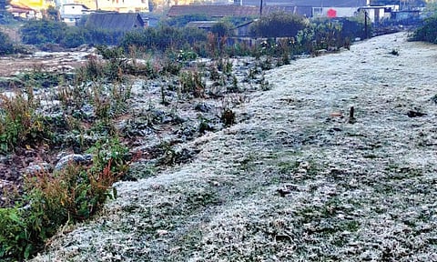 ஊட்டி குட்செட் பகுதியில் உறைபனி கொட்டிக்கிடந்த காட்சி.