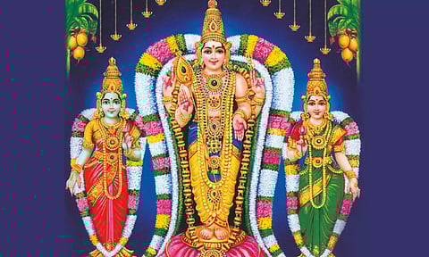 தை மாத பவுர்ணமியின் சிறப்புகள்!