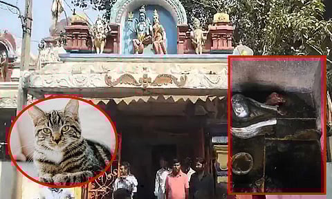 கோவிலில் இறைச்சி துண்டு: ஊரையே களேபரமாக்கிய சம்பவம்.. கடைசியில் தான் ட்விஸ்ட்