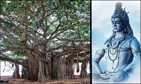 ஆலமரமே சிவபெருமானாக அருளும் 'மத்தியபுரீஸ்வரர்'