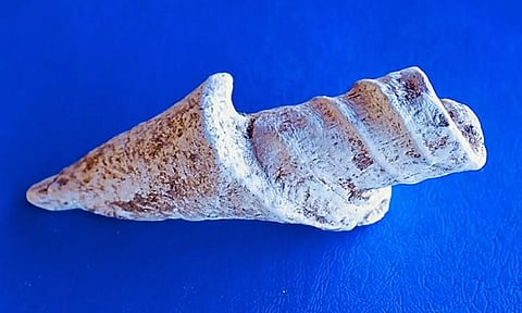 தமிழர்கள் தொழில்நுட்பங்களைக் கையாள்வதில் சிறந்து விளங்கியதற்கான மேலுமொரு சான்று - தங்கம் தென்னரசு