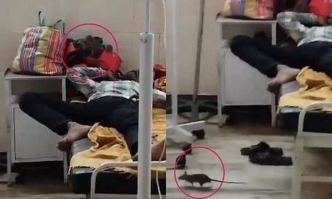 VIDEO: மருத்துவமனையின் குழந்தைகள் வார்டில் துள்ளிக்குதித்து விளையாடும் எலிகள்