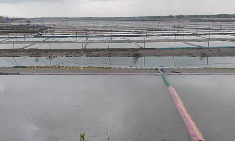 தொடர் மழையால் வேதாரண்யத்தில் உப்பு உற்பத்தி பாதிப்பு