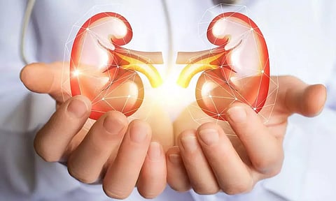 இன்று உலக கிட்னி விழிப்புணர்வு தினம்: 90 சதவீதம் கிட்னி பழுதாகும் வரை அறிகுறி இல்லாமல் இருக்கலாம்- மருத்துவர் எச்சரிக்கை