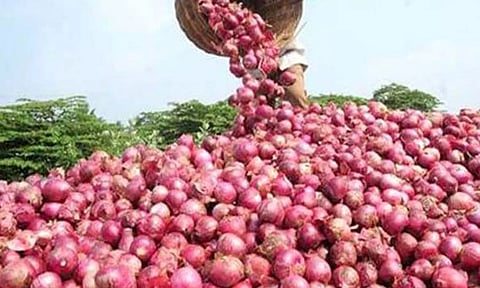 வேளாண் பட்ஜெட்: வெங்காய சேமிப்பு கூடங்கள் அமைக்க ரூ.18 கோடி நிதி ஒதுக்கீடு