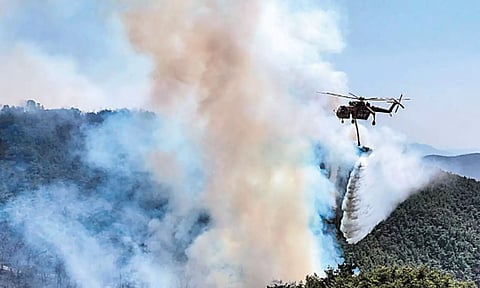 தென்கொரியாவில் காட்டுத்தீயால் 17 ஆயிரம் ஏக்கர் எரிந்து நாசம்- அவசர நிலை அறிவிப்பு