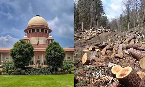 மரங்களை வெட்டுவது மனிதர்களை கொலை செய்வதை விட மோசமானது - உச்சநீதிமன்றம் வழங்கிய அதிரடி தீர்ப்பு