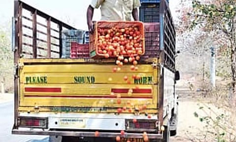 தெலுங்கானாவில் தக்காளிகளை சாலையில் கொட்டிய விவசாயிகள்